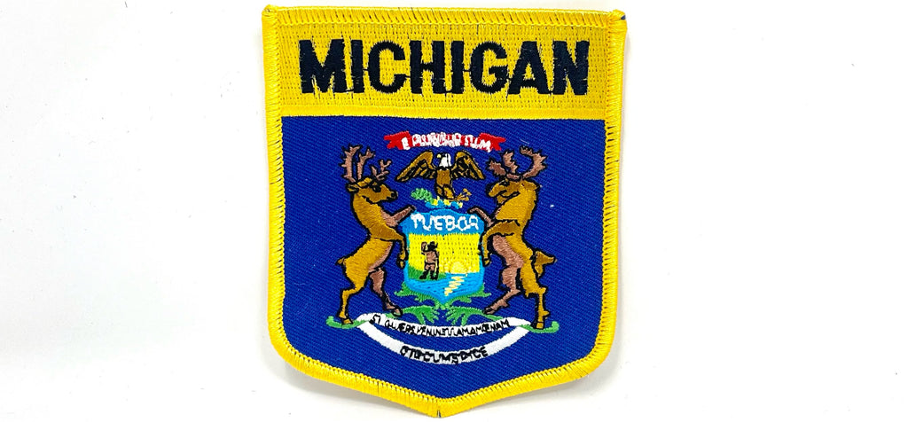 Michigan State Iron-On Patch