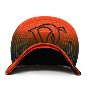 Washington DC Two Tone Snapback Caps