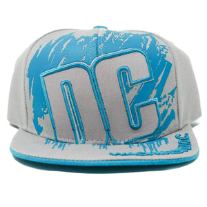 Washington DC Paint Snapback Caps