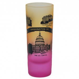 Washington DC Souvenir Shooter Glass
