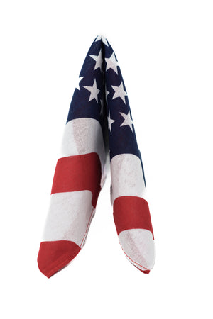American Flag USA Bandana