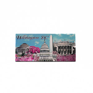 Washington D.C. Cherry Blossom Magnet