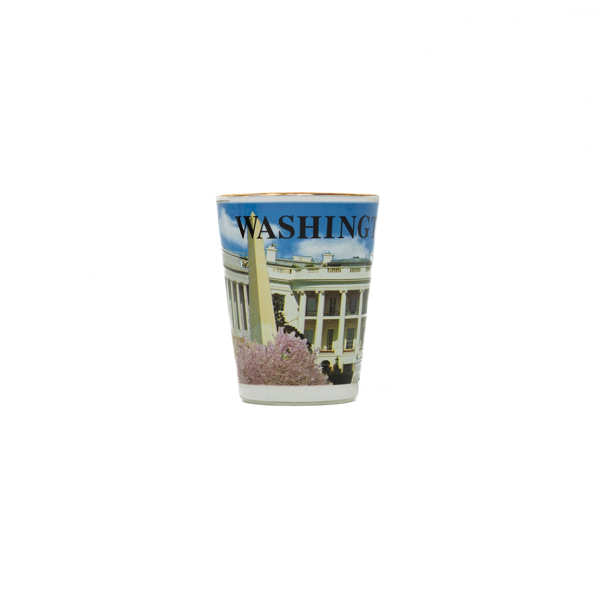 Washington DC Panoramic Shot Glass