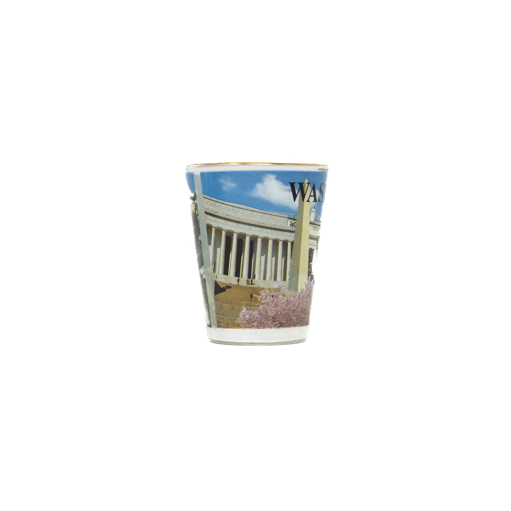 Washington DC Panoramic Shot Glass