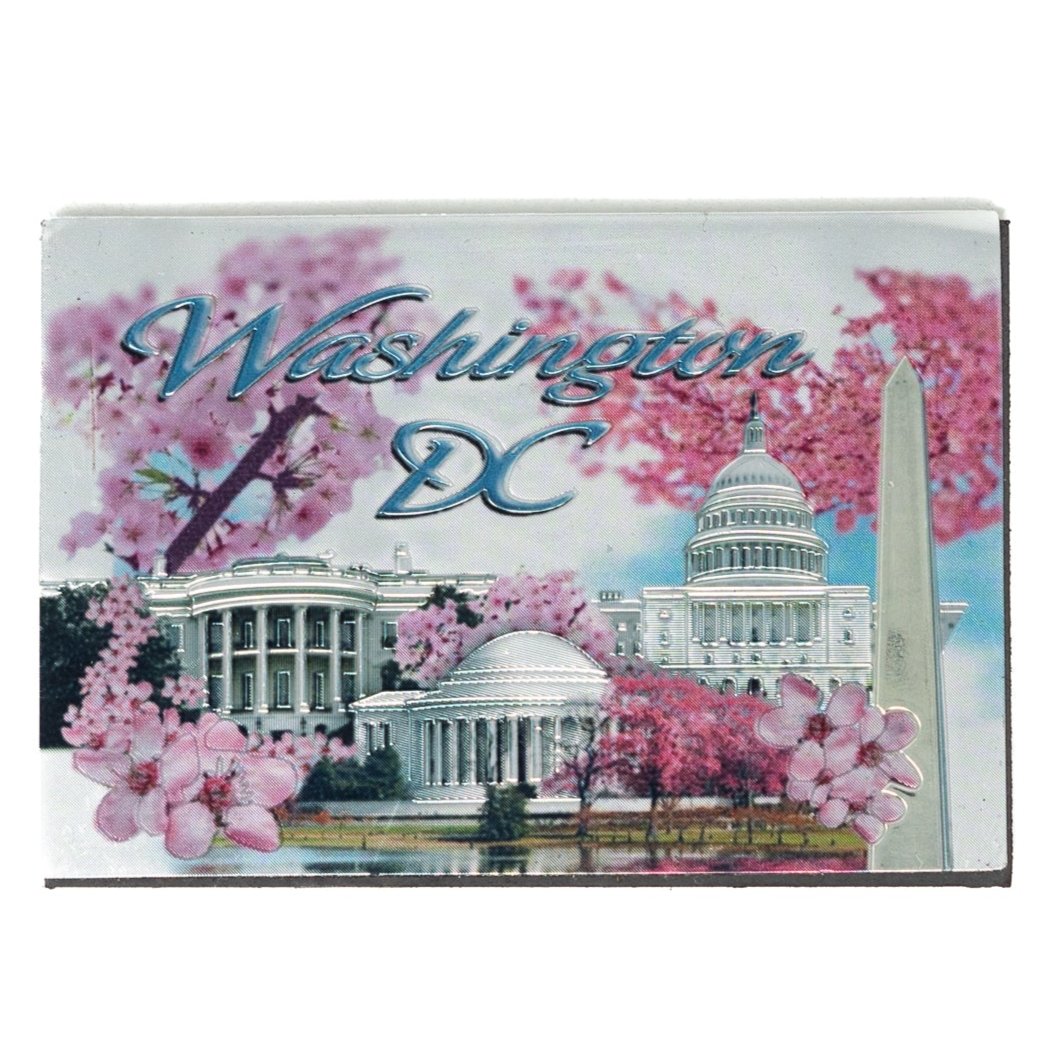 Cherry Blossom Scenic Fridge Magnet