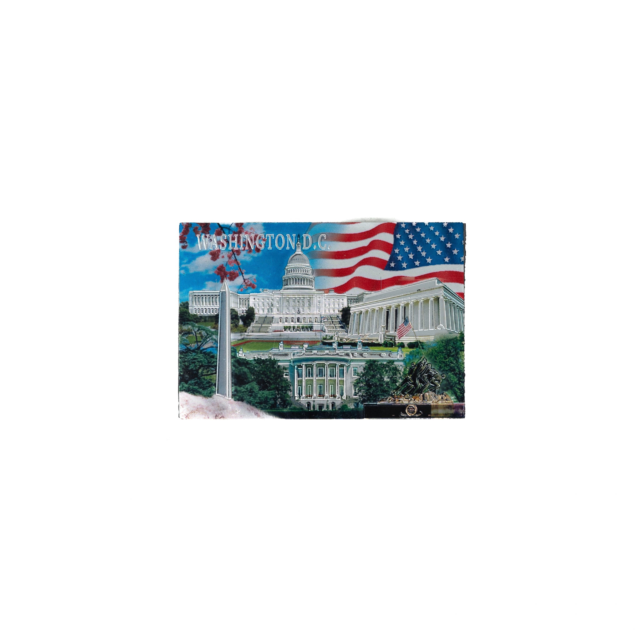 Washington DC 'Waving Flag' Fridge Magnet