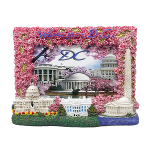 Washington D.C. Picture Frames