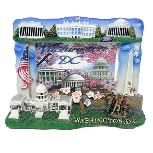 Large Washington D.C. Picture Frames
