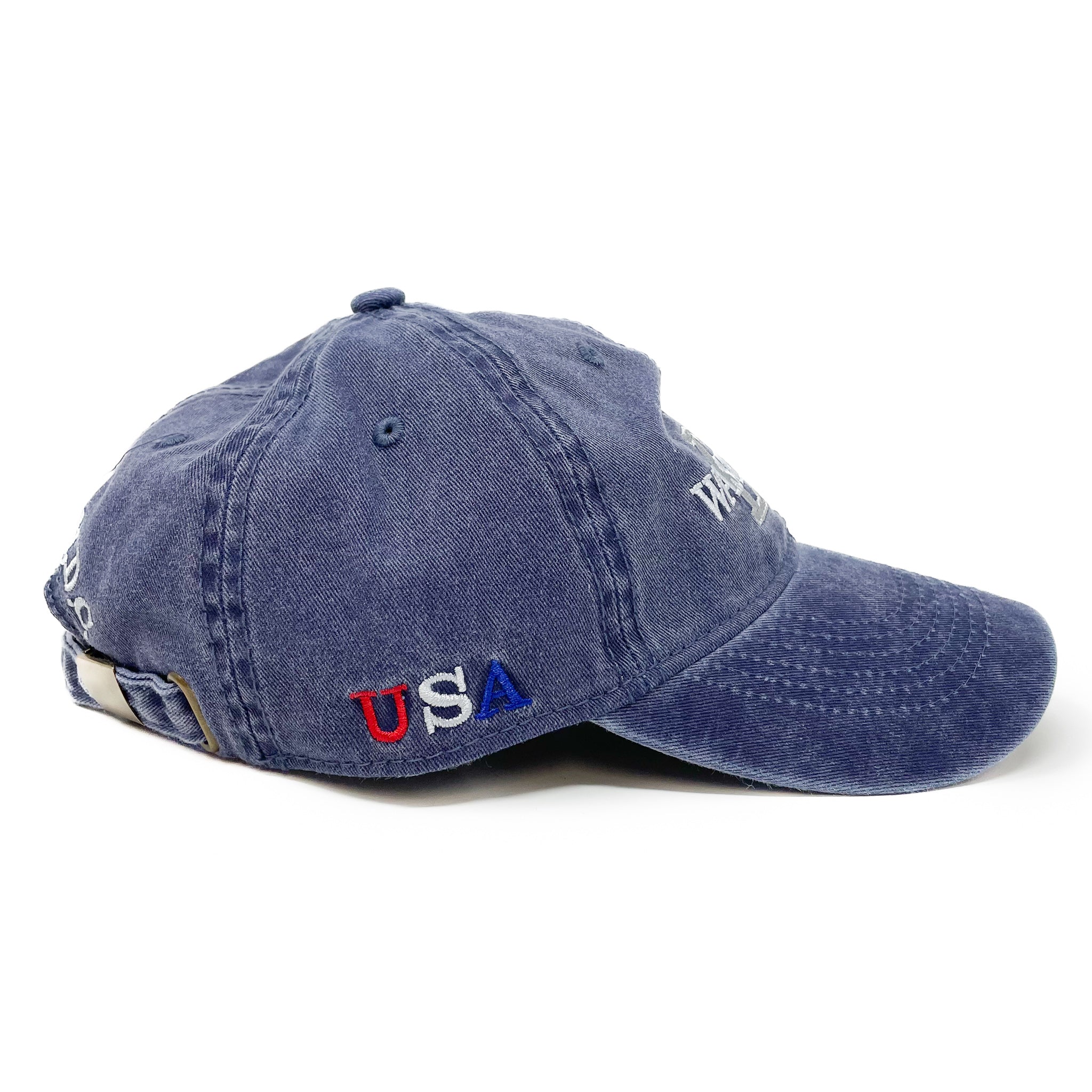 Authentic Washington DC Logo Cap