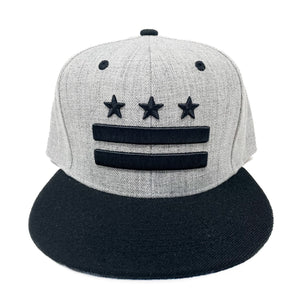 District of Columbia Snapback Black