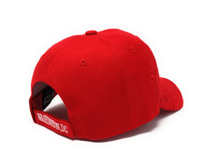 Presidential Great Seal Washington DC Hard Cap (4 Colors)