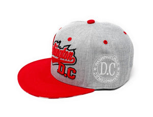 Washington DC Two Tone Snapback (3 Colors)