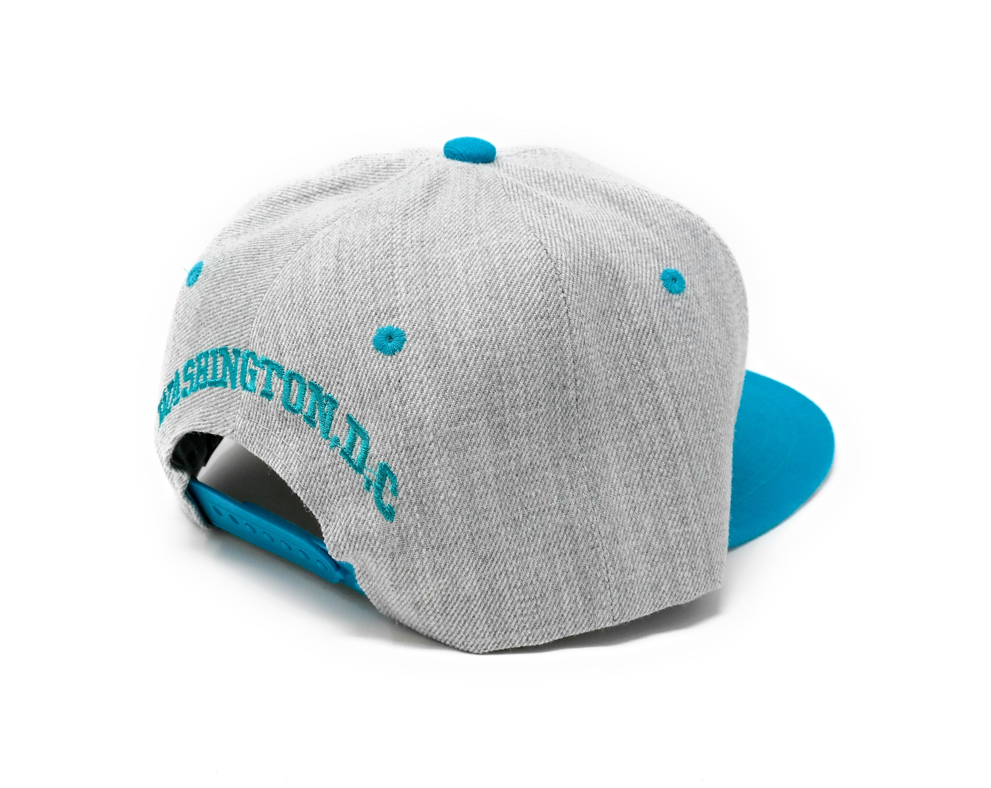 Washington DC Two Tone Snapback (3 Colors)