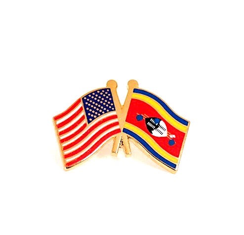 Eswatini (Swaziland) & USA Friendship Flags Lapel Pin