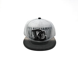 Washington DC Two Tone Snapback Caps